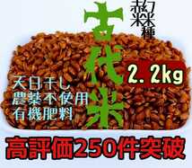 送料無料【天日干し】赤米2.2kg【農家直売】玄米 無農薬 有機肥料 発芽玄米 マクロビ オーガニック 自然農法 古代米 雑穀米 五穀米 黒米_画像1