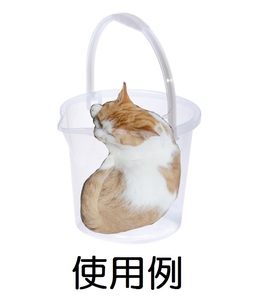 ... skeleton transparent bucket 10L liter bucket cat cat cat bucket .. transparent bucket SNS. cat Insta ..Twitter twitter dog ... cat hose scale .