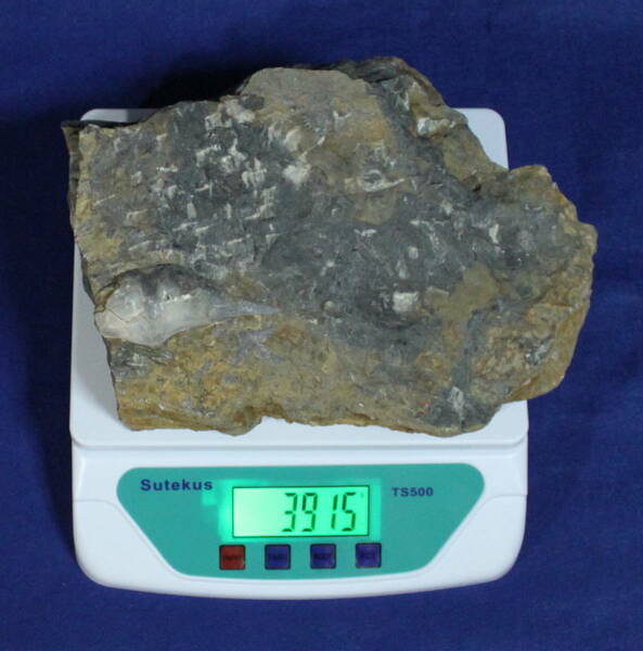 希少　石燕　母岩付き　キルトスピリファ－ ★送料無料　未研磨化石　化石　重さ約3,915g A084