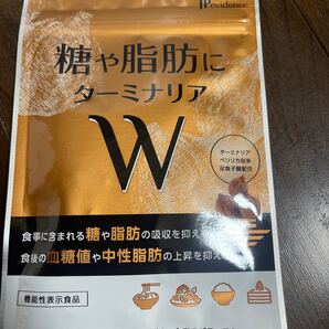 ターミナリアW