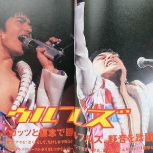 ROCKIN'ON JAPAN ロッキングオンジャパン 1996年6月号/特集:AIR.ウルフルズ.CORNELIUS.嶺川貴子.かせきさいだぁ.THEATRE BROOK Hi-STANDERDの画像4