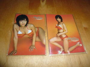 2005 SPカード バラ２枚　安田美沙子