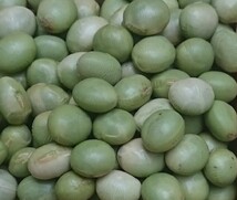 豆力　山形県産　秘伝豆　1ｋｇ（250ｇ×4袋）　　【ひでん豆　国産　青大豆　枝豆　だいず】_画像2