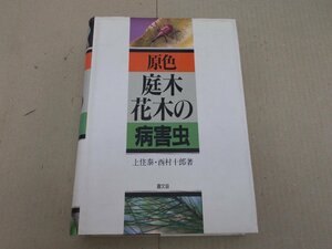 原色 庭木・花木の病害虫　上住泰・西村十郎 著