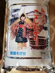 令和三年産新潟県産コシヒカリ　検査米　5kg×6袋 (白米）