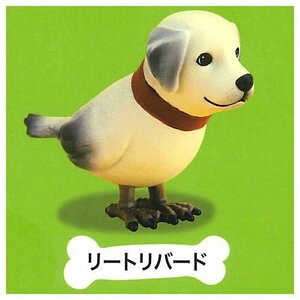 ガチャガチャ イヌトリ 犬 イヌ リートリバード 動物 フィギュア 鳥