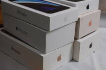 /て833【大量】Apple 純正 DVI-DVI ケーブル キーボードドック/A1359 イヤホン iphone空箱/iphoneSE/iphone11/iphone XS Max/iphone6_画像8