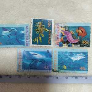 切手 外国の切手 使用済み タツノオトシゴ サメ ウミウシ 海洋生物 文具 ラッピング クリスマス ハロウィン 誕生日 海外　オーストラリア