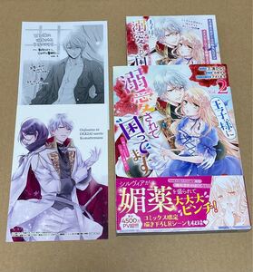 王子様に溺愛されて困ってます 〜転生ヒロイン、乙女ゲーム奮闘記〜 2
