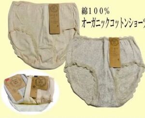 ☆オーガニックコットン☆レディース 綿100% ショーツ LLサイズ 2枚セット