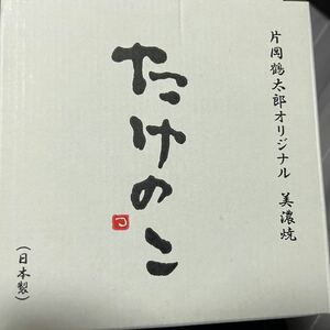 片岡鶴太郎　オリジナル　お皿　2枚　日本製　美濃焼