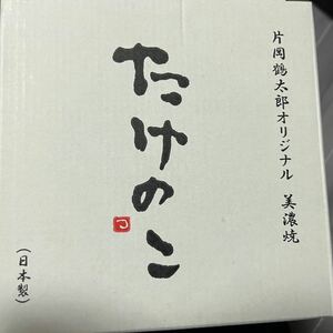 片岡鶴太郎　オリジナル　日本製　お皿　2枚　美濃焼