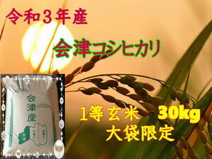 【玄米30kg】令和３年産　会津コシヒカリ 大袋のみ（精米・小分け不可）　東北～関西送料無料