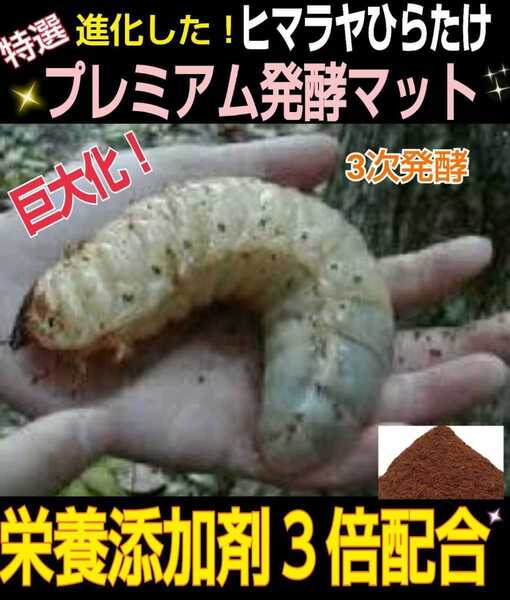進化した!特選プレミアム3次発酵カブトムシマット☆微粒子☆特殊アミノ酸など栄養添加剤を3倍配合した究極のプロ仕様!産卵にも抜群です