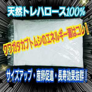 クワガタ・カブトムシのエネルギー源！トレハロース粉末☆マットや菌糸、ゼリーに混ぜるだけでサイズアップ、産卵数アップ、長寿効果抜群！