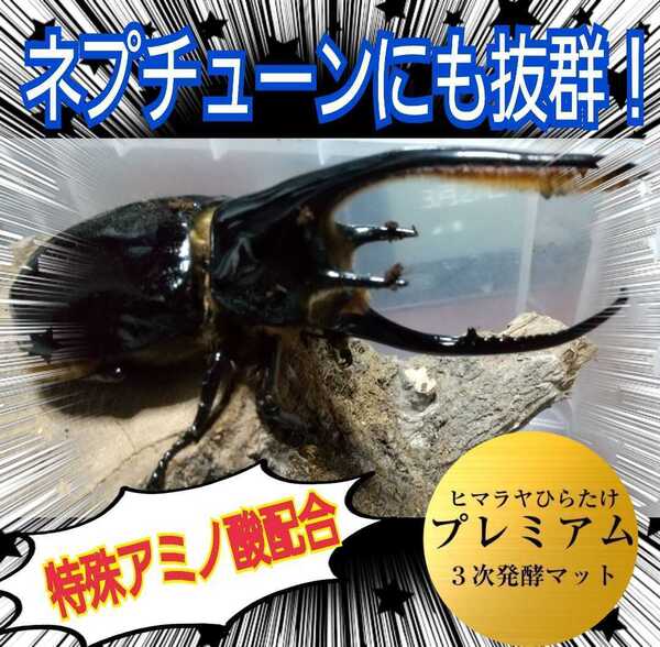 ネプチューンにも抜群!進化した!プレミアム発酵カブトムシマット☆特殊アミノ酸など栄養添加剤を3倍配合!コバエ、雑虫も全く湧かない!
