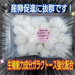 特選ハイグレードプロゼリー【50個】特殊アミノ酸強化配合☆産卵促進・長寿・体力増進に抜群！オスも食べやすいワイドカップ　昆虫ゼリー