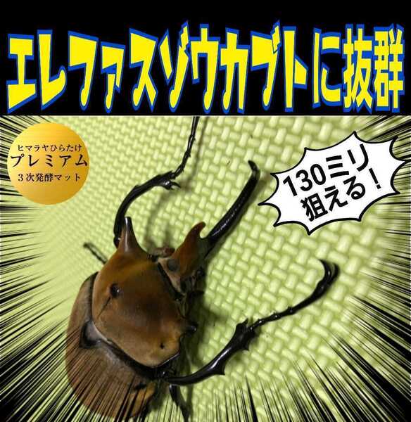 進化した!特選プレミアム3次発酵カブトムシマット☆微粒子☆特殊アミノ酸など栄養添加剤を3倍配合した究極のプロ仕様☆産卵にも抜群です