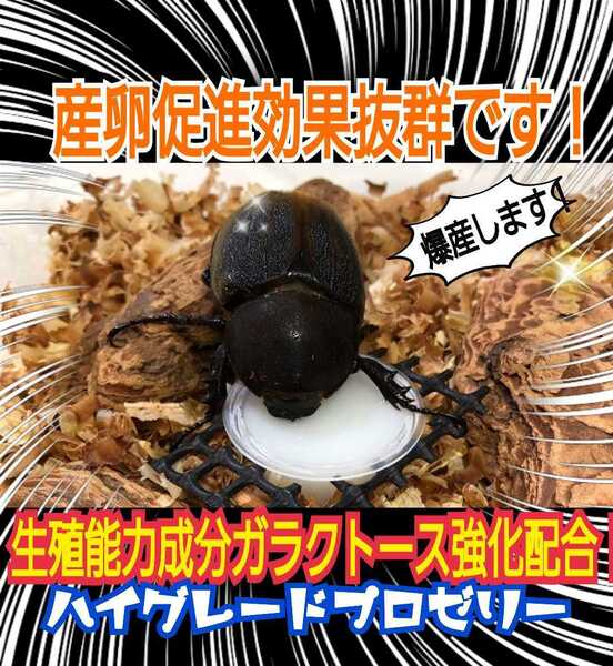 産卵促進に!極上ハイグレードプロゼリー【300個】特殊アミノ酸強化配合!産卵促進・長寿・体力増進に抜群☆カブトムシの餌 昆虫ゼリー