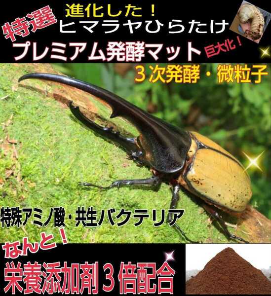 進化した！特選プレミアム3次発酵カブトムシマット☆微粒子☆特殊アミノ酸など栄養添加剤を３倍配合した究極のプロ仕様！産卵にも抜群です