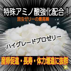 特選ハイグレードプロゼリー【50個】特殊アミノ酸強化配合！産卵促進・長寿・体力増進に抜群！オスも食べやすいワイドカップ　昆虫ゼリー