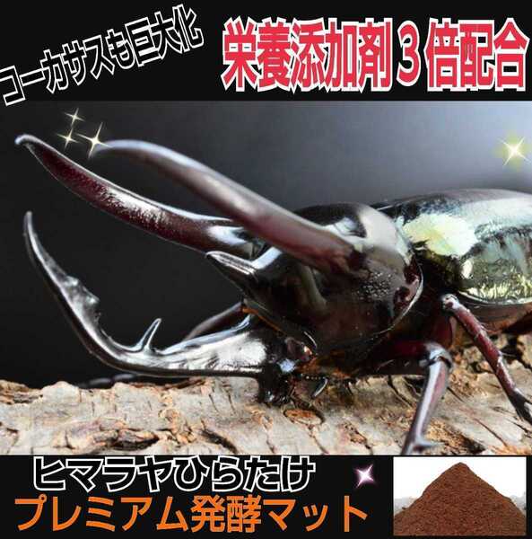 進化した!特選プレミアム3次発酵カブトムシマット☆微粒子☆特殊アミノ酸など栄養添加剤を3倍配合した究極のプロ仕様!産卵にも抜群です
