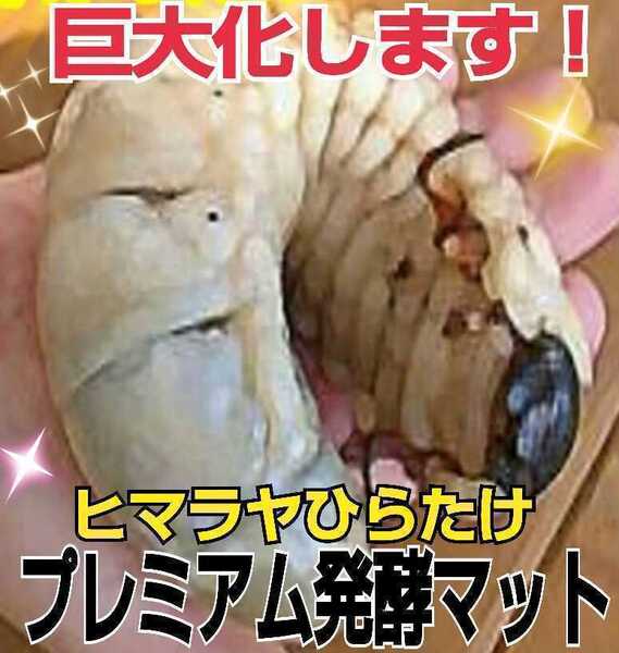 進化した!特選プレミアム3次発酵カブトムシマット☆微粒子☆特殊アミノ酸など栄養添加剤を3倍配合した究極のプロ仕様!産卵にも抜群です