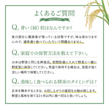 特別栽培米　ななつぼし【玄米】２０Ｋ　北海道比布町産地　令和３年産_画像7