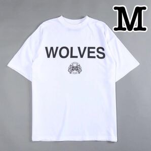 大人気 ダルクスポーツ darc sport Tシャツ Mサイズ