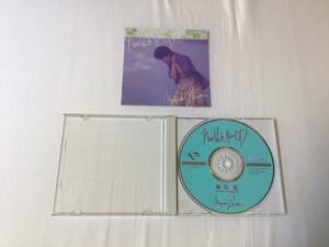 椎名恵 NEW HIT ON CD
