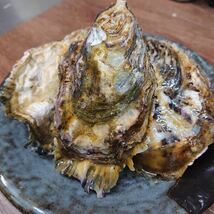 広島県産　ブランド牡蠣　かき小町　25 殻付き　生食用_画像1