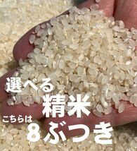 [全国送料無料] 玄米 正味 20Kg / 選べる精米 ⇒ 無洗米、上白米、標準米、分づき米 ４種 / 令和３年産 2021年産 / お米 / 四国 徳島産_画像3