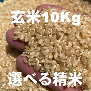[全国送料無料] 玄米 正味 10Kg (2) / 選べる精米（無洗米、上白米、標準米、分づき米 ４種） / 令和３年産 2021年産 / お米 / 四国 徳島産
