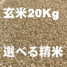 [全国送料無料] 玄米 正味 20Kg / 選べる精米 ⇒ 無洗米、上白米、標準米、分づき米 ４種 / 令和３年産 2021年産 / お米 / 四国 徳島産_画像6