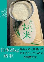 『美味しいお米』25kg　送料無料　格安　令和3年茨城産　ブレンド米　お米　最安値価格　限定1 コスパ米_画像1