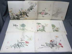 Art hand Auction 일본화 : 꽃(8개) 사이즈 : 360mm x 265mm / 220558★, 그림, 일본화, 꽃과 새, 야생 동물