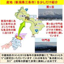 令和3年　新潟県三条市しただ産　冷めても美味しいミルキークイーン5kg 輝一米　送料無料_画像2