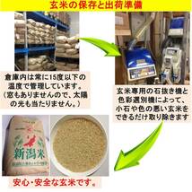 米粉900g　令和3年　新潟県三条市しただ産　減農薬　特別栽培米コシヒカリ100% グルテンフリー　送料無料_画像4