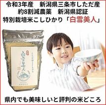 令和3年　新潟県三条市しただ産　減農薬　新潟県認証　特別栽培米コシヒカリ900g　白雪美人　送料無料　グルテンフリー_画像1