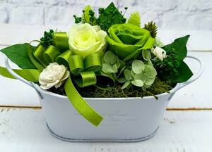 * снижение цены последний 1 шт! консервированный цветок жестяная пластина овальный tray организовать зеленый Mix роза подарок . рекомендация *