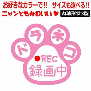 肉球 ドラネコ 録画中 ステッカー かわいい REC ドライブレコーダー 肉球３型 車 クルマ バイク ドラレコ 煽り あおり運転防止 (4)