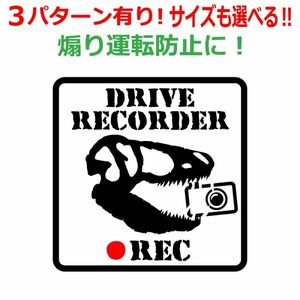 恐竜 角B ドラレコ ステッカー かっこいい REC ドライブレコーダー ティラノサウルス 車 クルマ バイク 煽り あおり運転防止　(4)