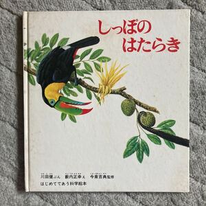 昭和レトロ　49年版　福音館書店 川田健文「しっぽのはたらき」絵本 はじめてであう科学絵本