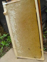 国産蝋！熊本産！養蜂場の１００％天然蜜蝋【河内みかんハチミツの蜜ろう(ミツロウ)100ｇ】天然ハンドクリームや天然リップで使用可能です_画像7