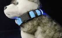 光る!首輪【S 緑】LEDライトが明るく安全！小型犬 夜間のお散歩に♪ 安心 防犯 犬 猫 ペット 【グリーン/S 】_画像8