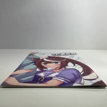 雨洩り宿 (空向) ウマ娘 プリティーダービー ウマ×トレ! ラブリーダービー vol.1 ラブリィダービー 同人誌_画像3