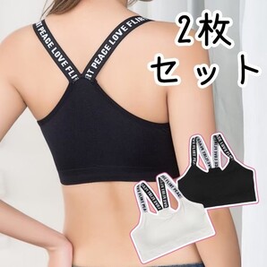 スポーツブラ ナイトブラ フィットネスブラ ブラトップ ノンワイヤー 2枚セット