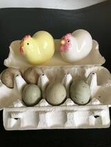 ニワトリ　鶏　 種卵５個 有精卵_画像3