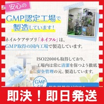 １袋 国産 ビオチン450μg ケラチン ネイル 白髪 サプリ/卵殻膜/フルボ酸(ケイ素含)/コラーゲン/ビール酵母/ビタ_画像7