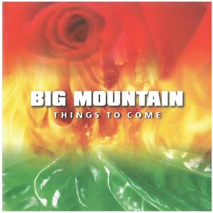 ビッグ・マウンテン(BIG MOUNTAIN) / THINGS TO COME (ディスクに傷あり) CD